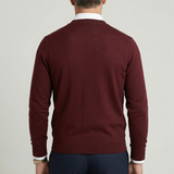 Herre cardigan med V-hals, knapper og lange ærmer